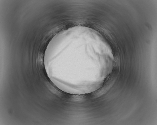 X0000113120238200909251119