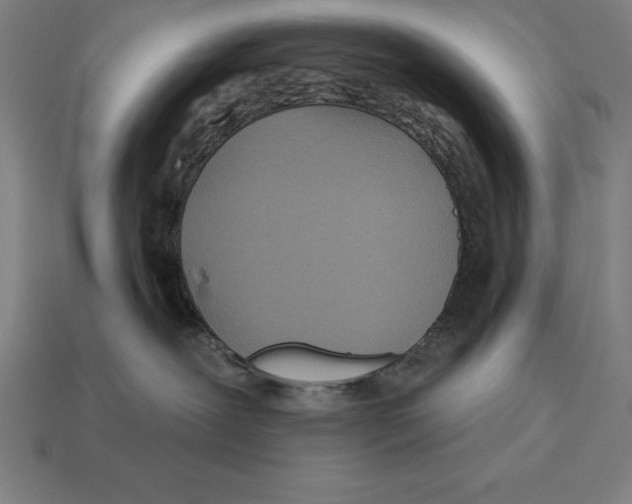 X0000113120239200909251119