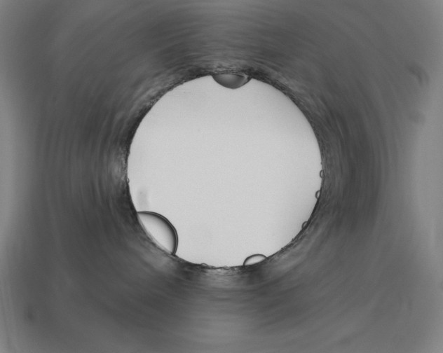 X0000113120240200909251119