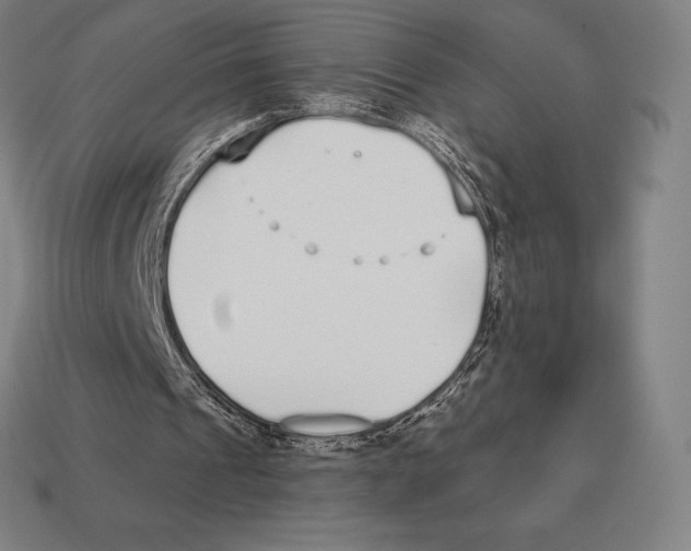 X0000113120241200909251118