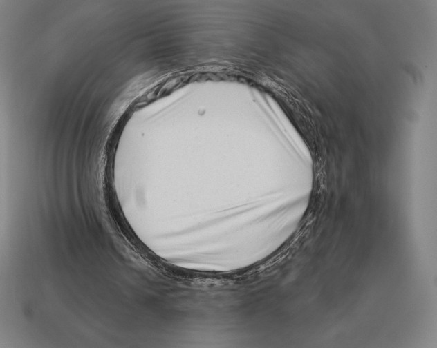 X0000113120242200909251118