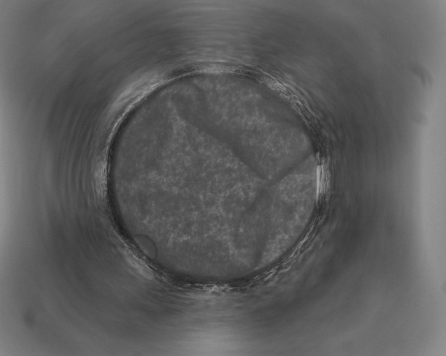 X0000113120243200909251118