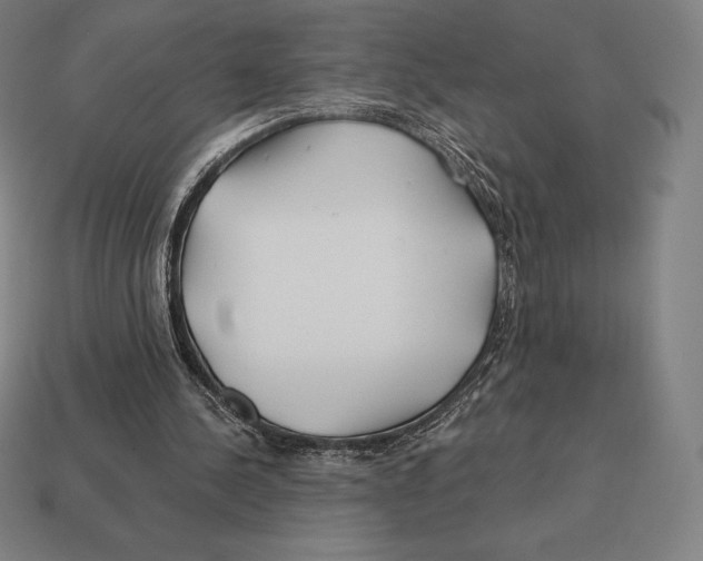 X0000113120244200909251118