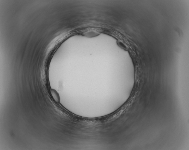 X0000113120245200909251119