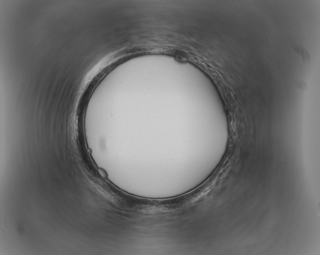 X0000113120246200909251119