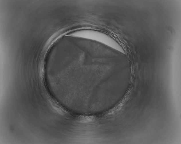 X0000113120247200909251119