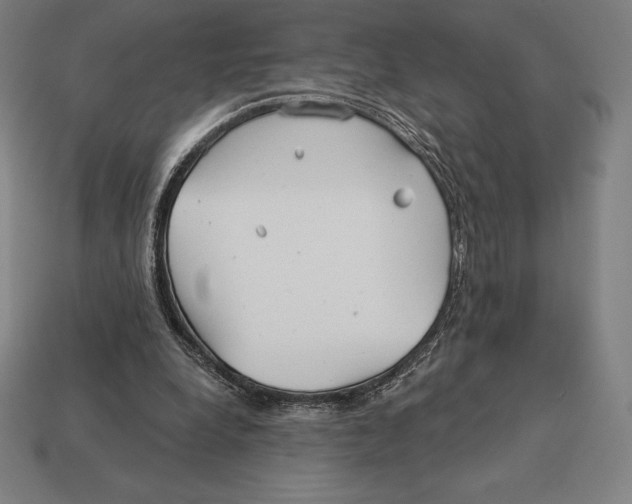 X0000113120248200909251119