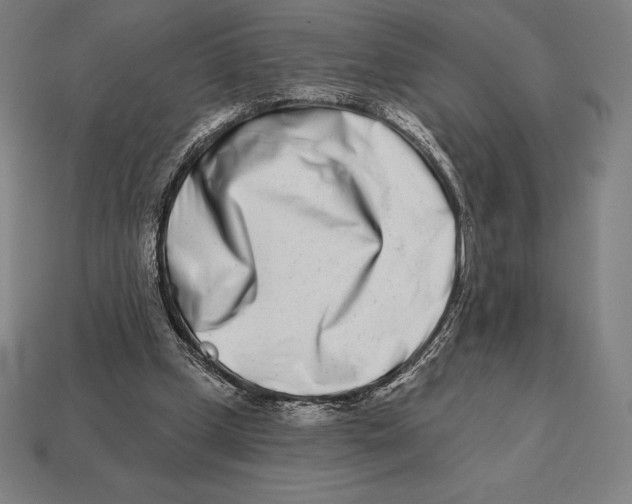 X0000113120249200909251119