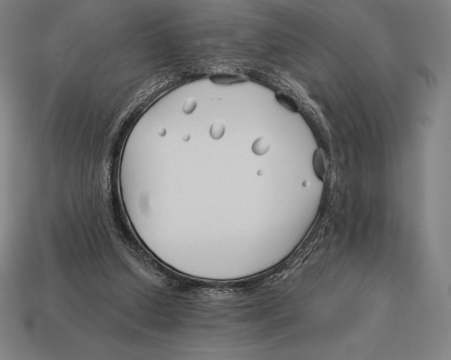 X0000113120250200909251119