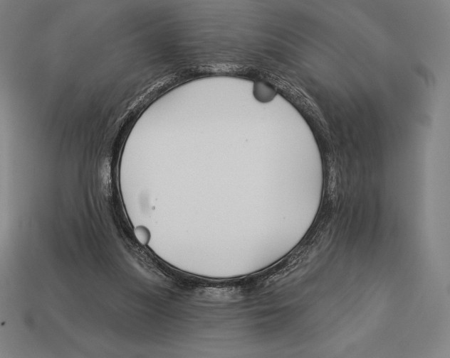 X0000113120251200909251119