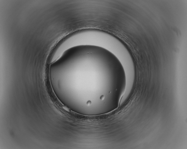 X0000113120252200909251119