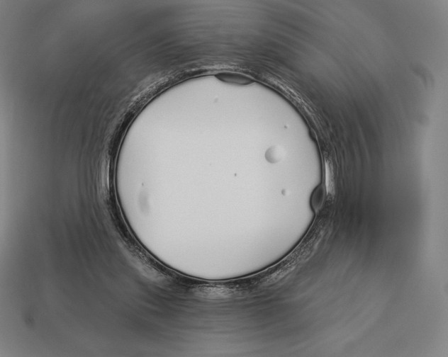 X0000113120253200909251119