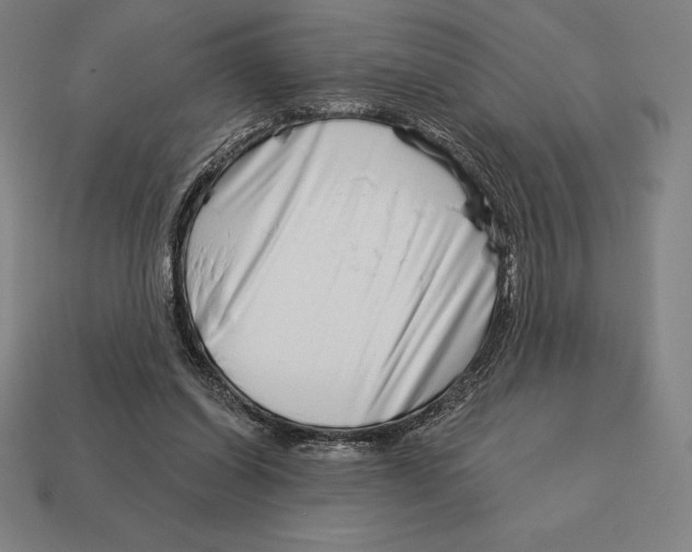 X0000113120254200909251119