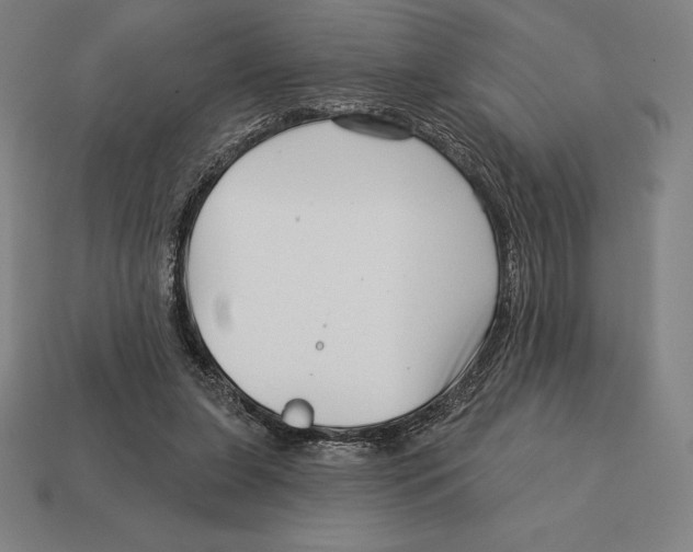 X0000113120255200909251119