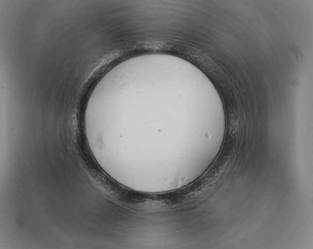 X0000113120256200909251119