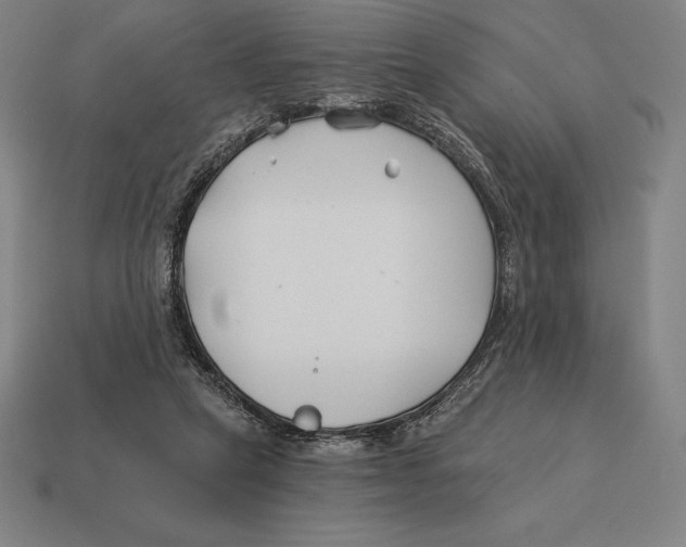 X0000113120257200909251119