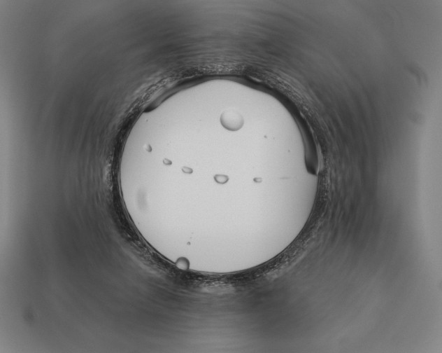 X0000113120258200909251119