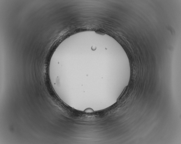 X0000113120260200909251119