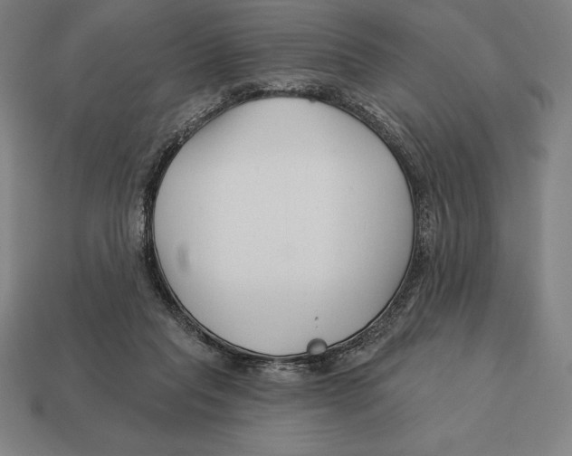X0000113120261200909251119