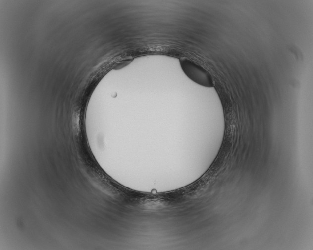 X0000113120262200909251119