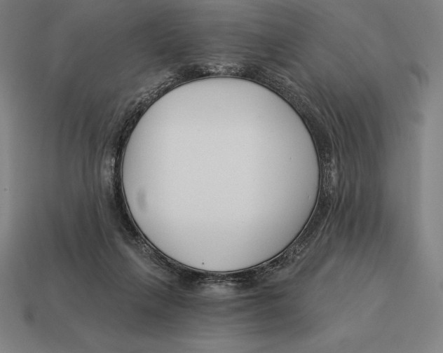 X0000113120263200909251119