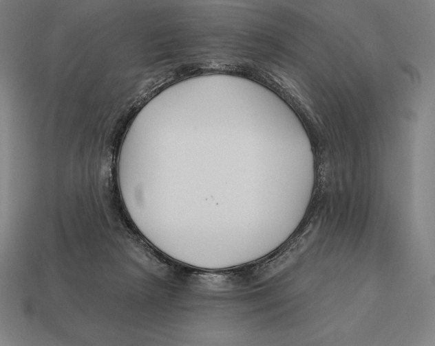 X0000113120265200909251119