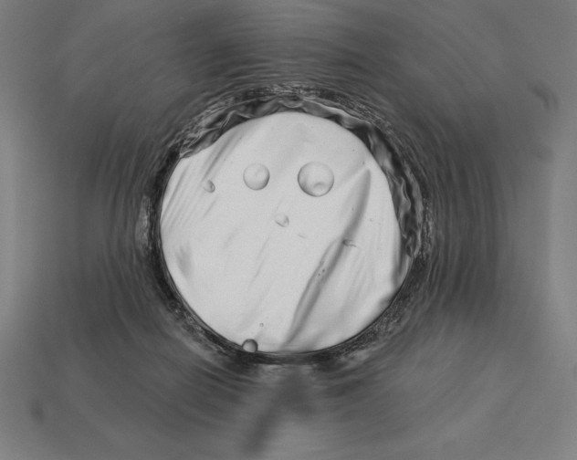 X0000113120266200909251119