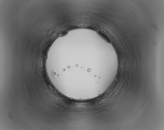 X0000113120268200909251119
