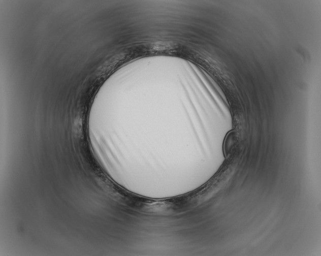 X0000113120269200909251119