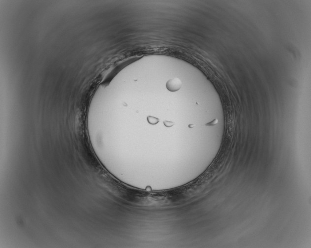 X0000113120270200909251119