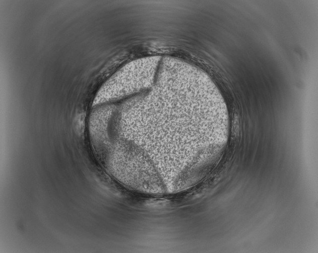 X0000113120271200909251119