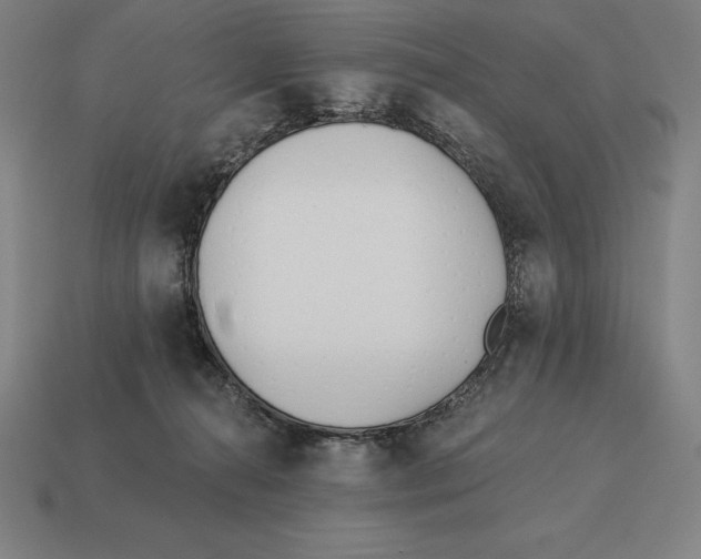 X0000113120272200909251119