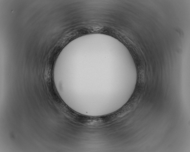 X0000113120274200909251119