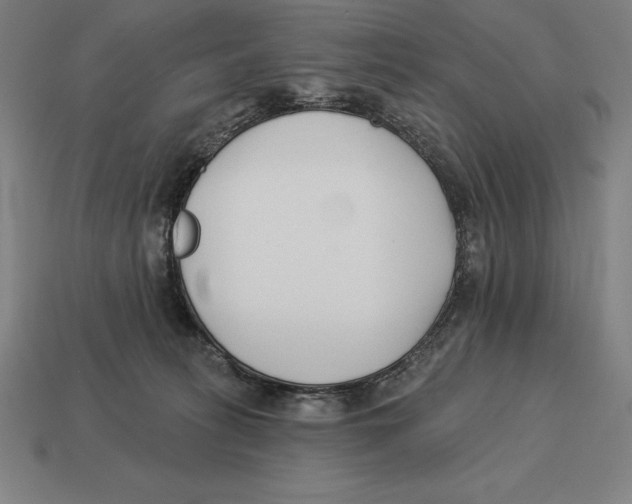 X0000113120275200909251119