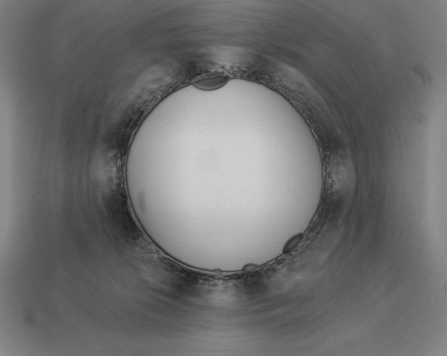 X0000113120276200909251119