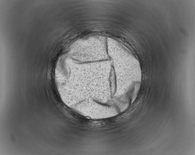 X0000113120277200909251119