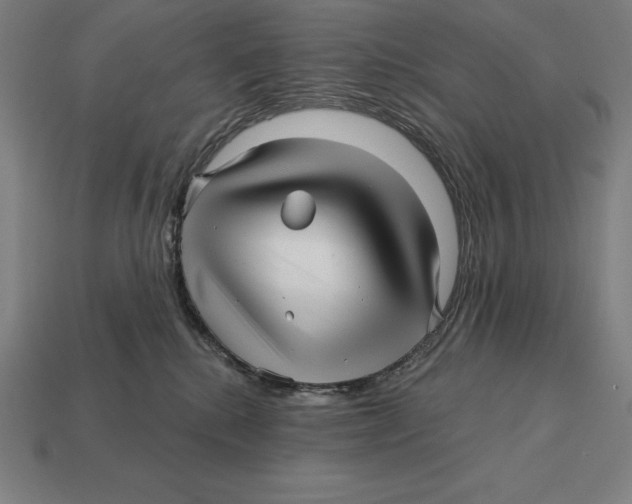 X0000113120280200909251119