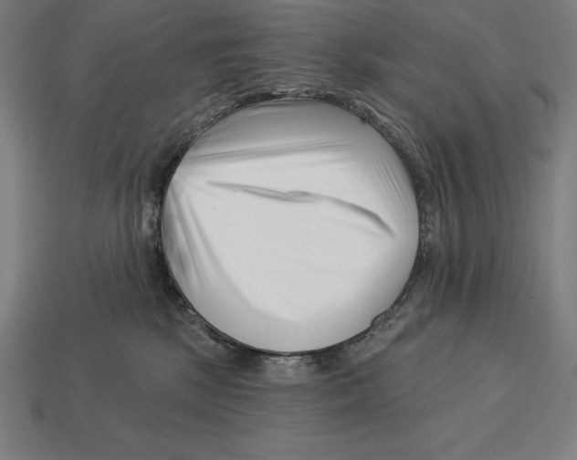 X0000113120281200909251119