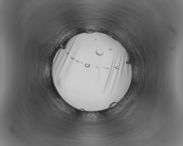 X0000113120282200909251119
