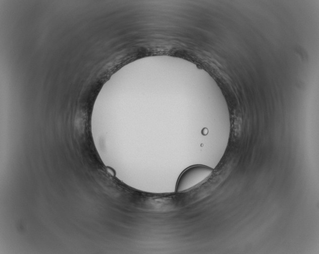 X0000113120283200909251119