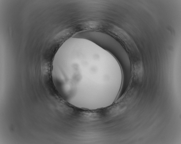 X0000113120284200909251119