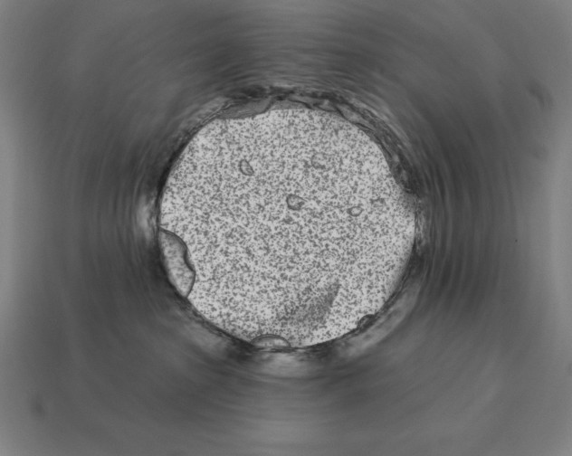 X0000113120285200909251119
