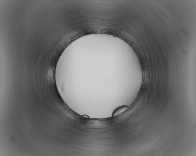 X0000113120286200909251119