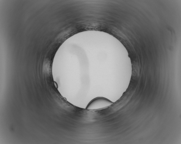 X0000113120287200909251119