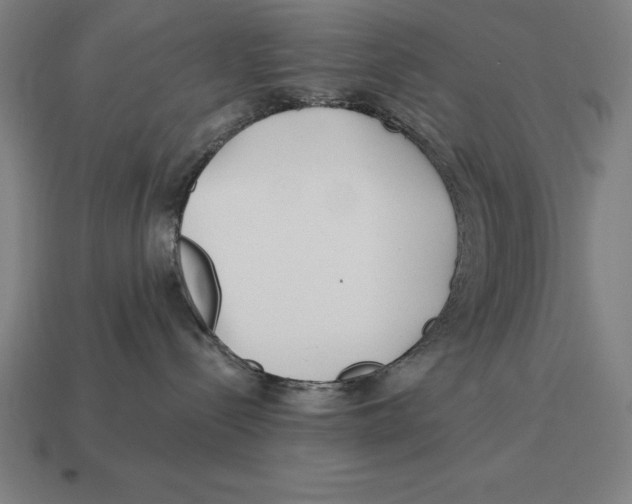 X0000113120288200909251119