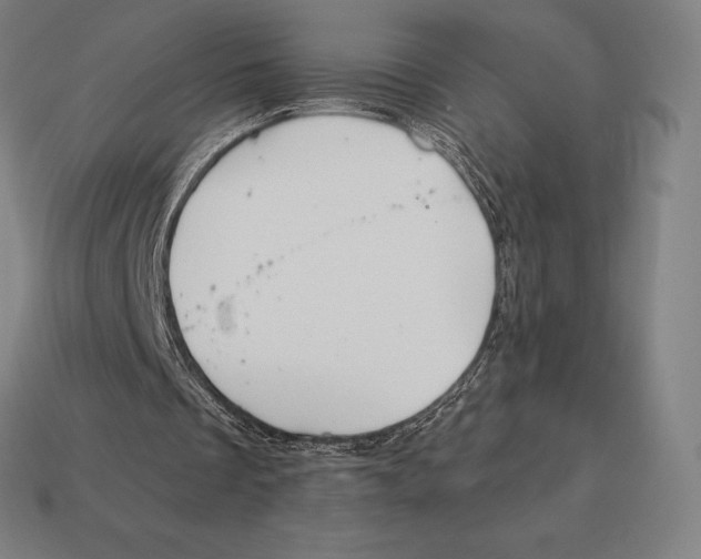 X0000113120289200909251118