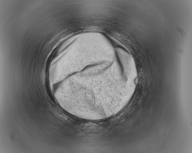 X0000113120290200909251118