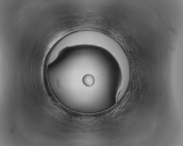 X0000113120292200909251118