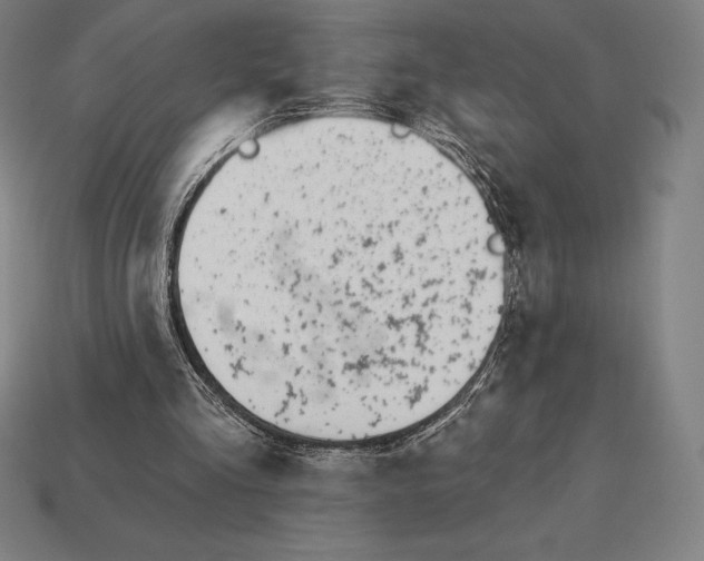 X0000113120293200909251118