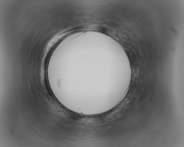 X0000113120294200909251118